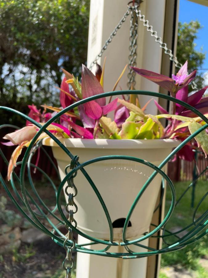 Theme Parks Amituofo Homestay Gold Coast Kültér fotó